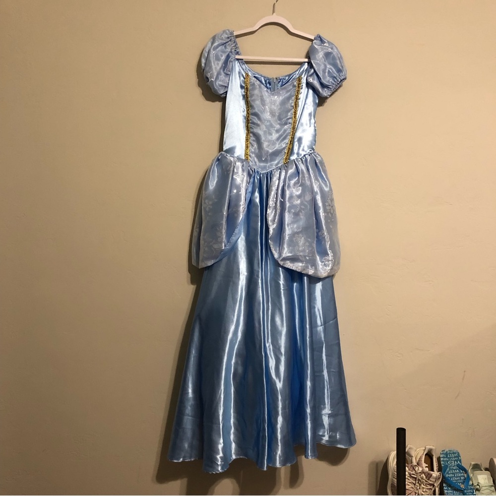 Disney Cinderella Handmade Adult Dress/Gown